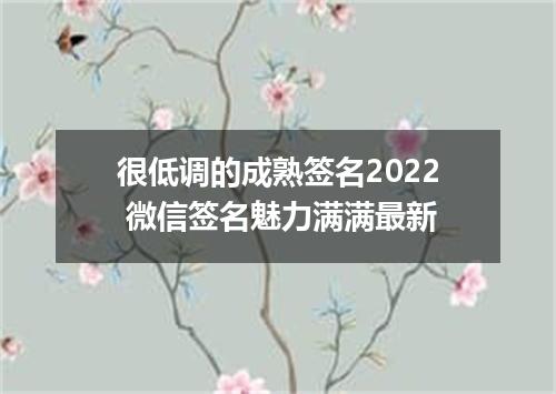 很低调的成熟签名2022 微信签名魅力满满最新