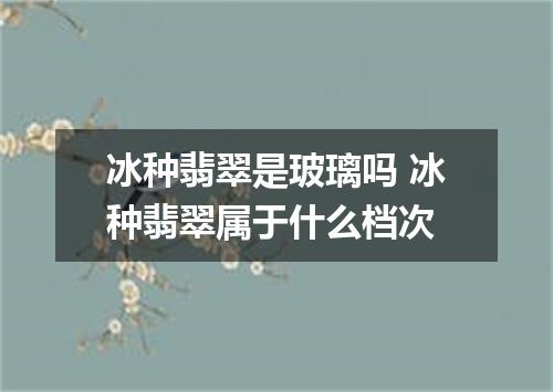 冰种翡翠是玻璃吗 冰种翡翠属于什么档次