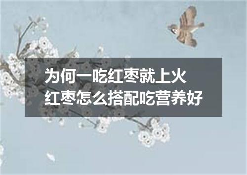 为何一吃红枣就上火 红枣怎么搭配吃营养好