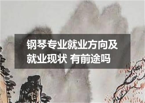 钢琴专业就业方向及就业现状 有前途吗