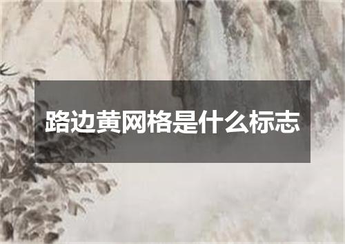 路边黄网格是什么标志