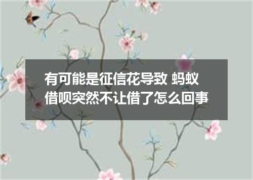 有可能是征信花导致 蚂蚁借呗突然不让借了怎么回事