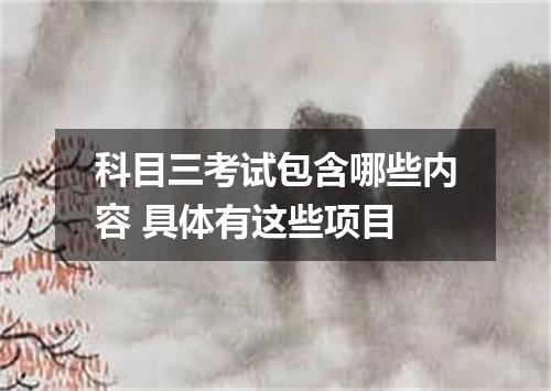 科目三考试包含哪些内容 具体有这些项目