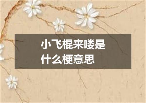 小飞棍来喽是什么梗意思