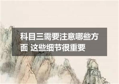 科目三需要注意哪些方面 这些细节很重要