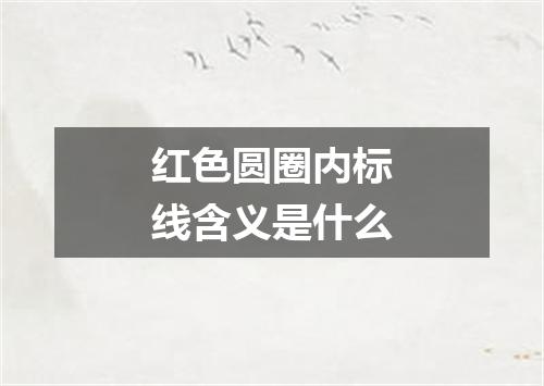 红色圆圈内标线含义是什么