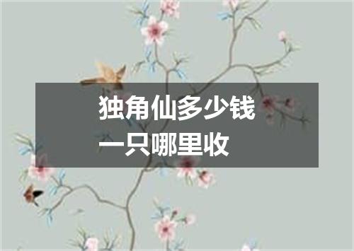 独角仙多少钱一只哪里收
