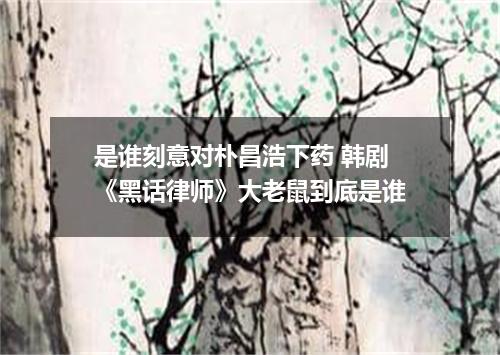 是谁刻意对朴昌浩下药 韩剧《黑话律师》大老鼠到底是谁