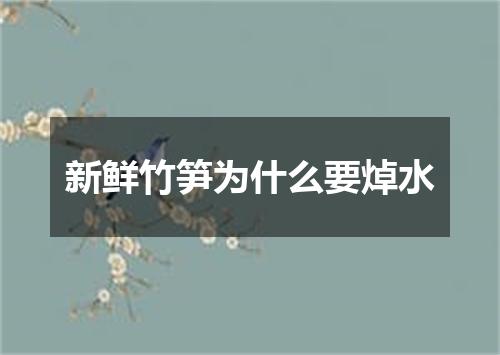 新鲜竹笋为什么要焯水