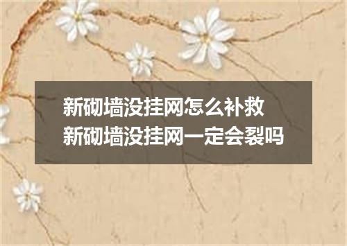 新砌墙没挂网怎么补救 新砌墙没挂网一定会裂吗