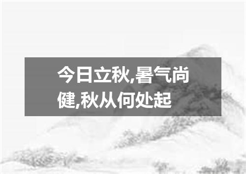 今日立秋,暑气尚健,秋从何处起