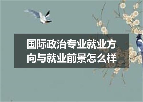 国际政治专业就业方向与就业前景怎么样