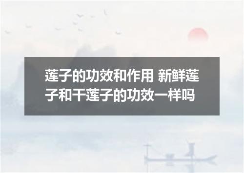 莲子的功效和作用 新鲜莲子和干莲子的功效一样吗