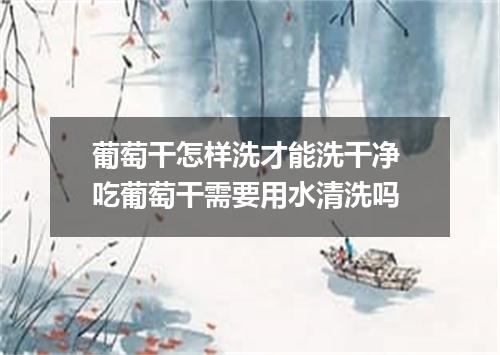 葡萄干怎样洗才能洗干净 吃葡萄干需要用水清洗吗