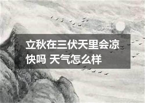 立秋在三伏天里会凉快吗 天气怎么样