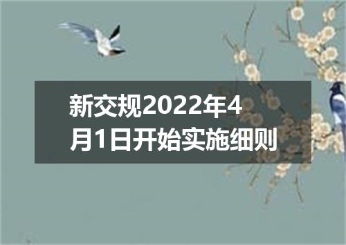 新交规2022年4月1日开始实施细则