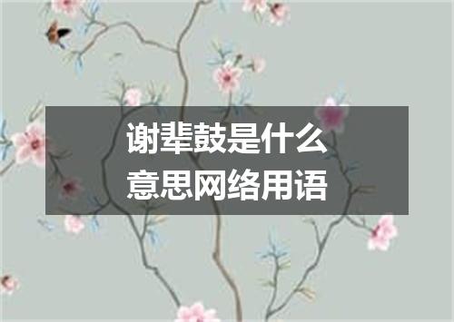 谢辈鼓是什么意思网络用语