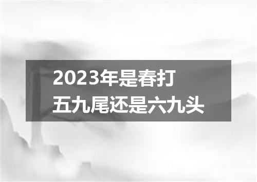 2023年是春打五九尾还是六九头
