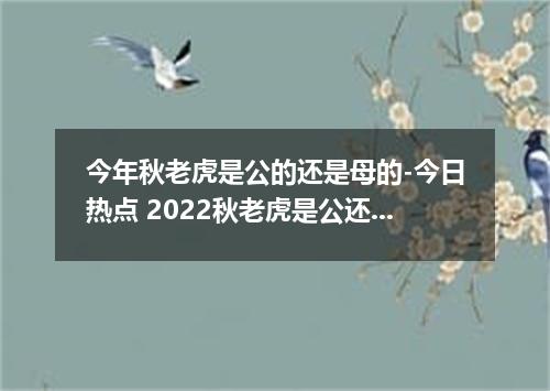 今年秋老虎是公的还是母的-今日热点 2022秋老虎是公还是母