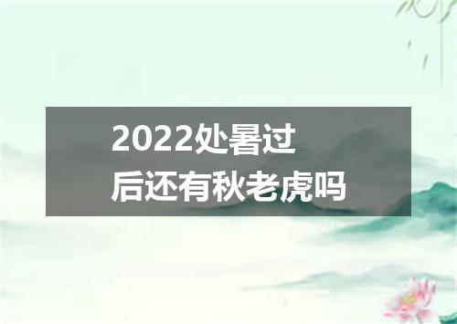 2022处暑过后还有秋老虎吗