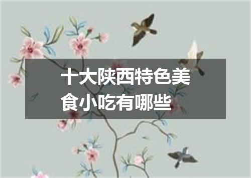 十大陕西特色美食小吃有哪些
