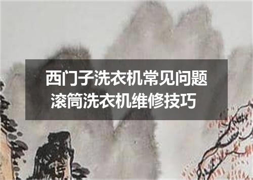 西门子洗衣机常见问题 滚筒洗衣机维修技巧