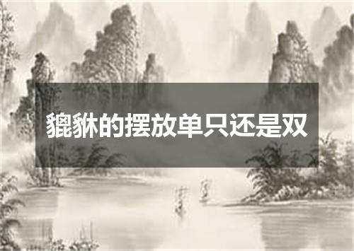 貔貅的摆放单只还是双