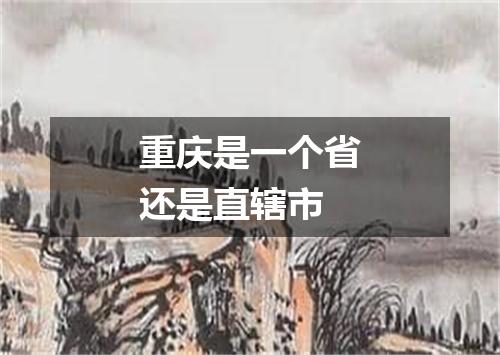 重庆是一个省还是直辖市