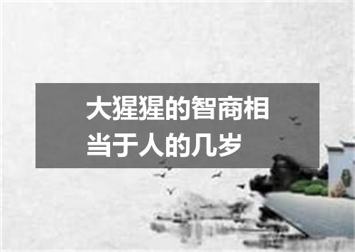 大猩猩的智商相当于人的几岁