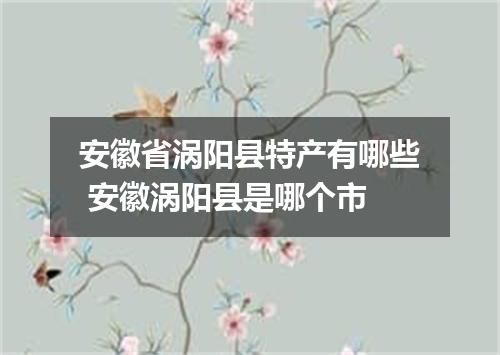 安徽省涡阳县特产有哪些 安徽涡阳县是哪个市