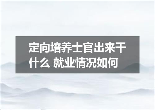 定向培养士官出来干什么 就业情况如何