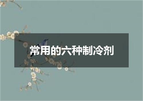 常用的六种制冷剂