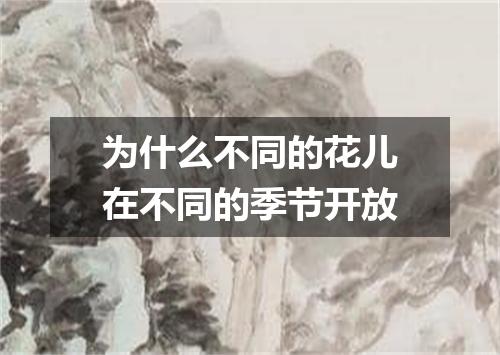 为什么不同的花儿在不同的季节开放