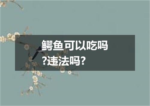 鳄鱼可以吃吗?违法吗?