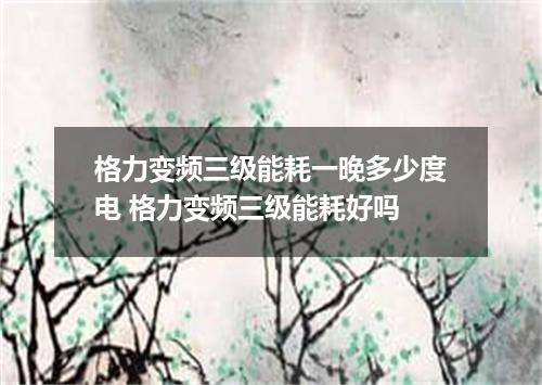 格力变频三级能耗一晚多少度电 格力变频三级能耗好吗
