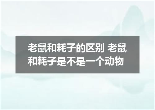老鼠和耗子的区别 老鼠和耗子是不是一个动物