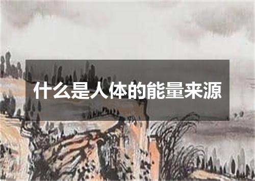 什么是人体的能量来源