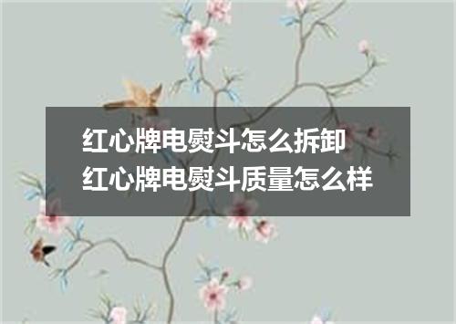 红心牌电熨斗怎么拆卸 红心牌电熨斗质量怎么样