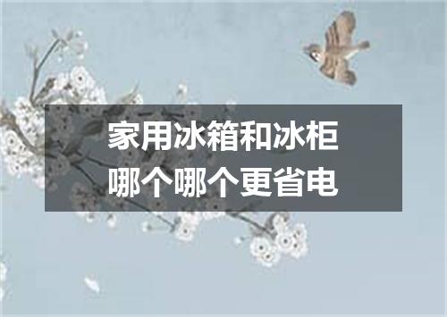 家用冰箱和冰柜哪个哪个更省电