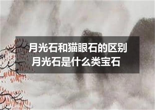 月光石和猫眼石的区别 月光石是什么类宝石
