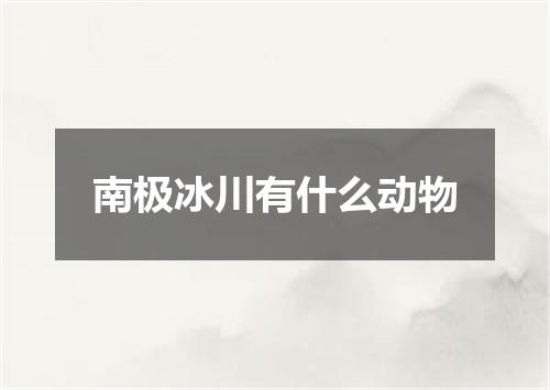 南极冰川有什么动物