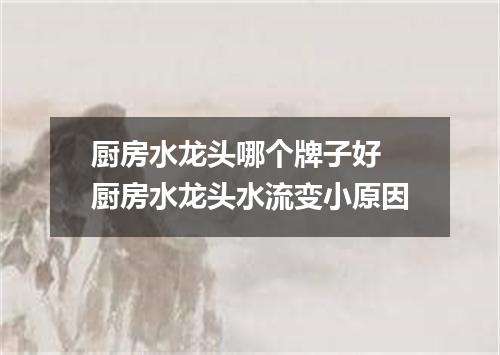 厨房水龙头哪个牌子好 厨房水龙头水流变小原因