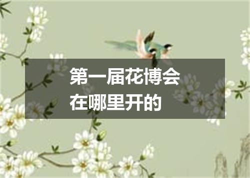 第一届花博会在哪里开的
