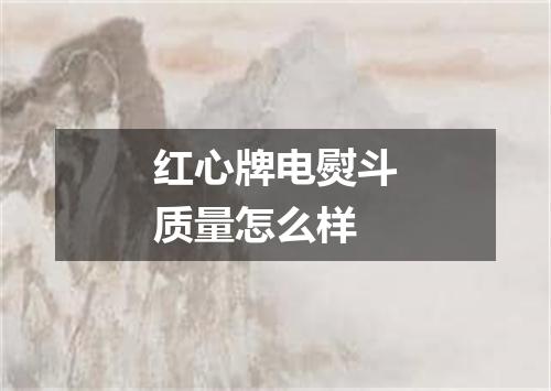 红心牌电熨斗质量怎么样