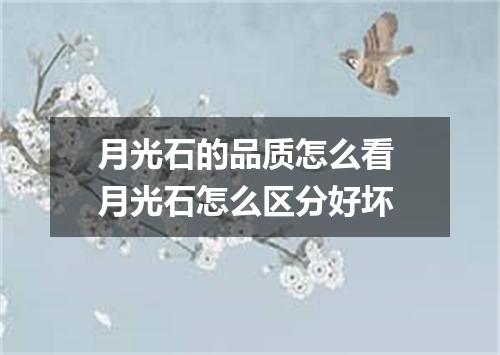 月光石的品质怎么看 月光石怎么区分好坏