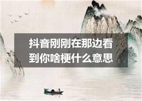 抖音刚刚在那边看到你啥梗什么意思