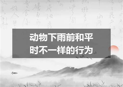 动物下雨前和平时不一样的行为