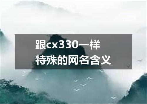 跟cx330一样特殊的网名含义
