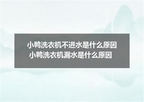小鸭洗衣机不进水是什么原因 小鸭洗衣机漏水是什么原因