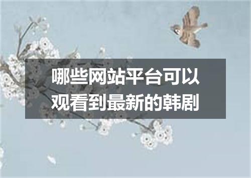 哪些网站平台可以观看到最新的韩剧